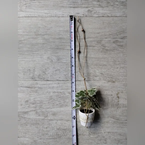 Tiny Macrame Car Plant - Picture 3 of 4